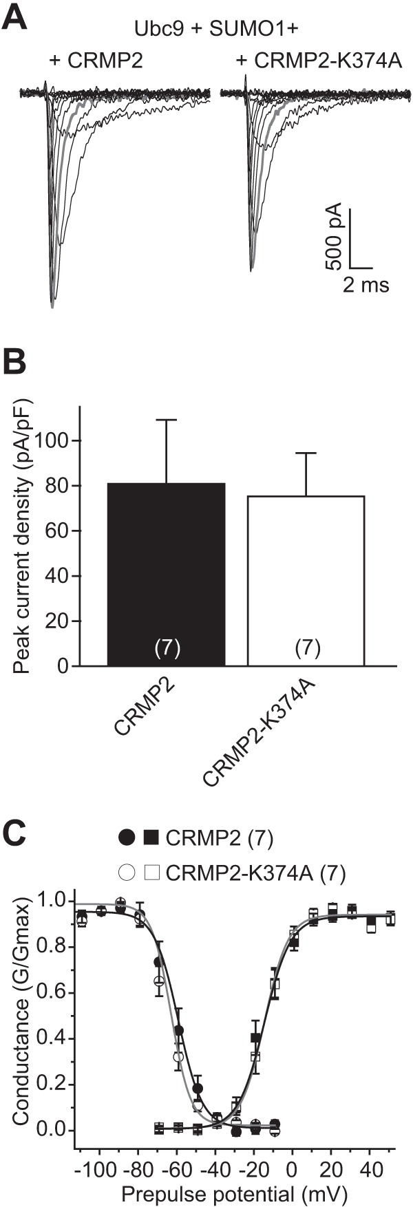 FIGURE 9.