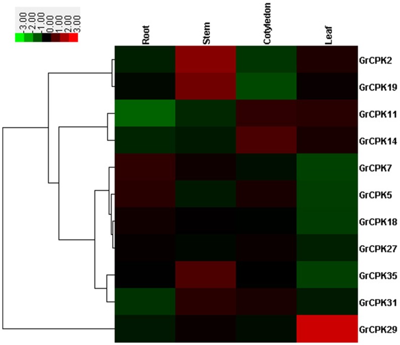 Figure 4