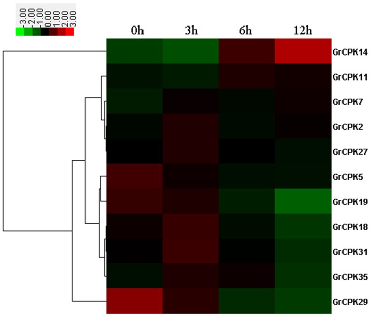 Figure 5