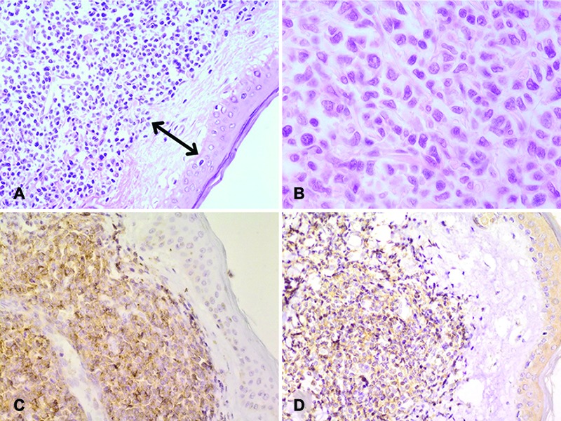 Figure3