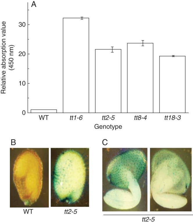 Fig. 3.