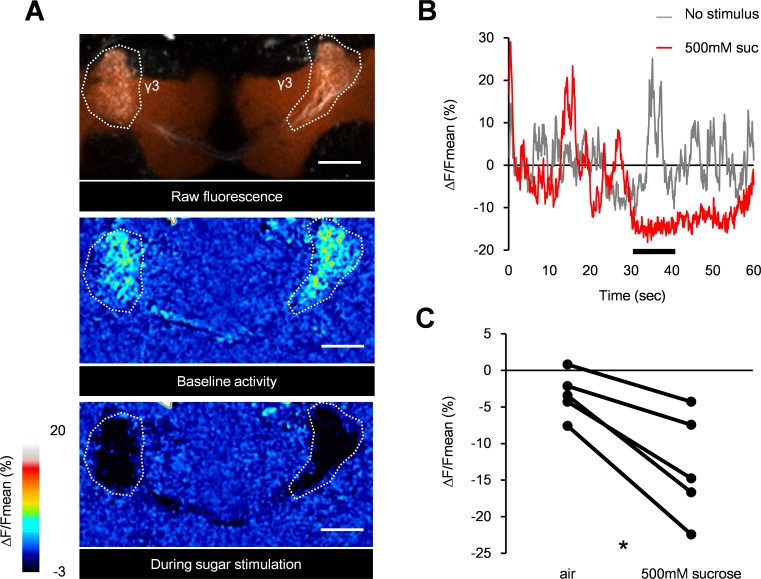 Fig 3