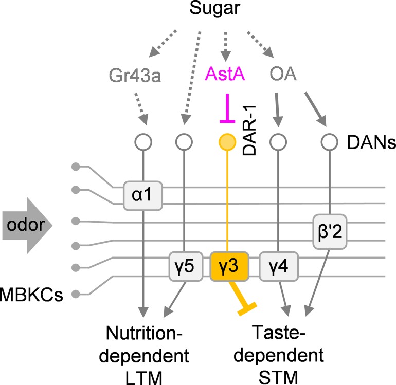 Fig 11