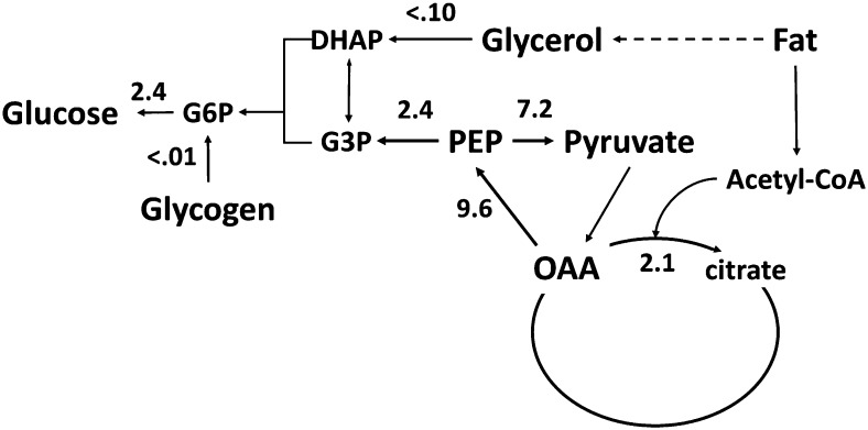 FIGURE 2