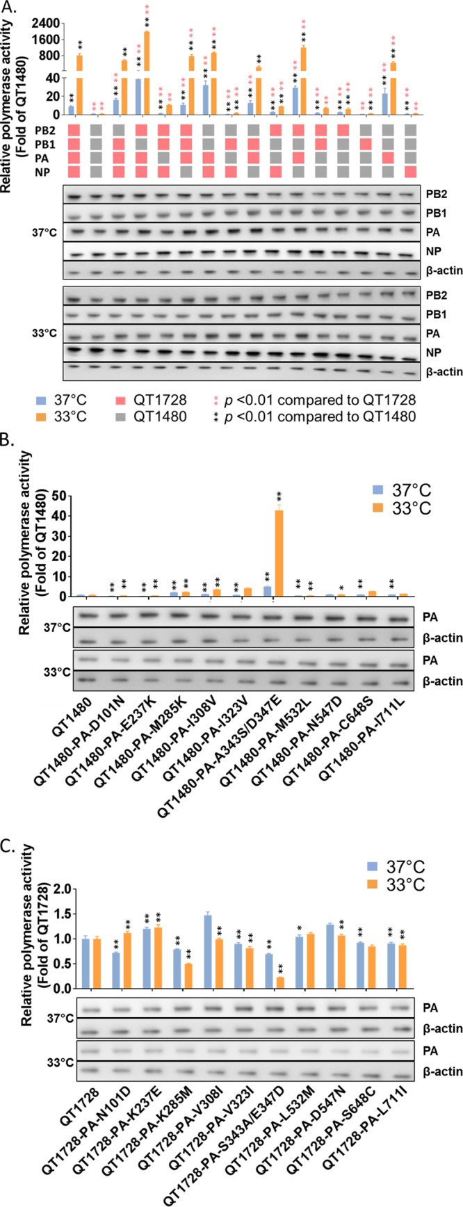 FIG 3