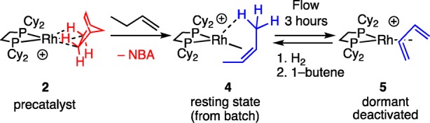 Scheme 4