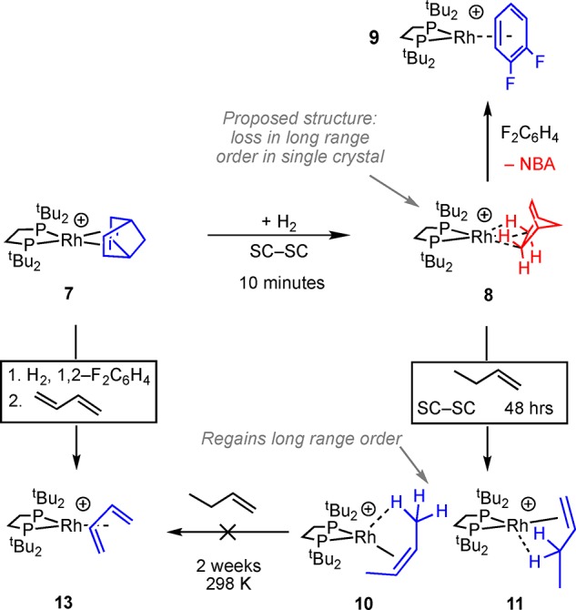 Scheme 5