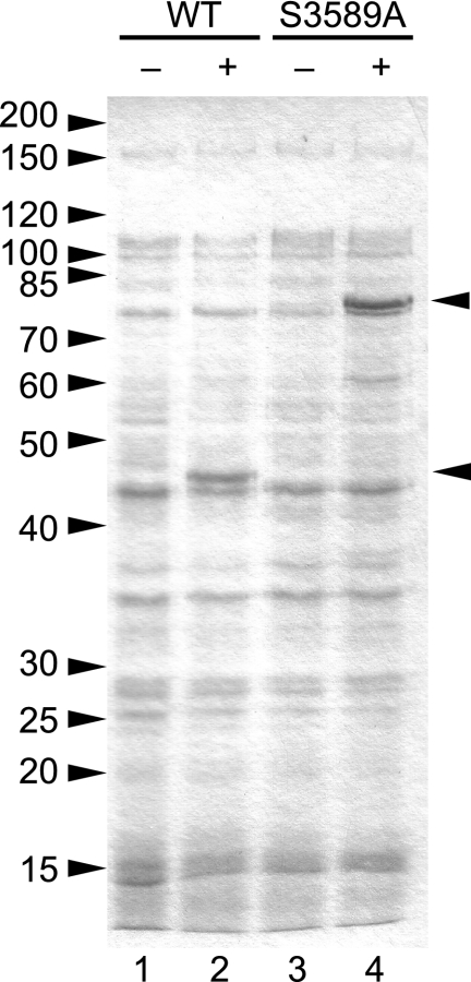 FIG. 6.