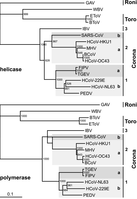 FIG. 8.