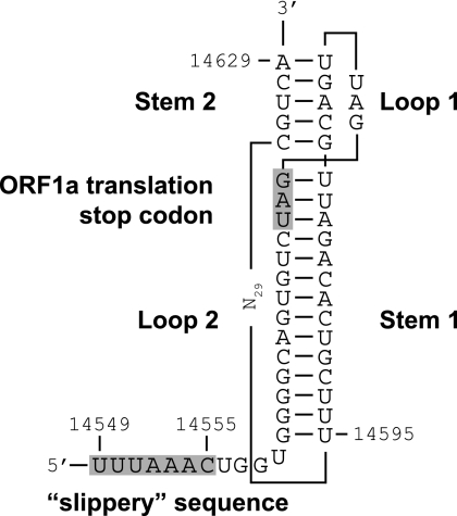 FIG. 5.