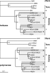 FIG. 8.