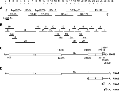 FIG. 2.