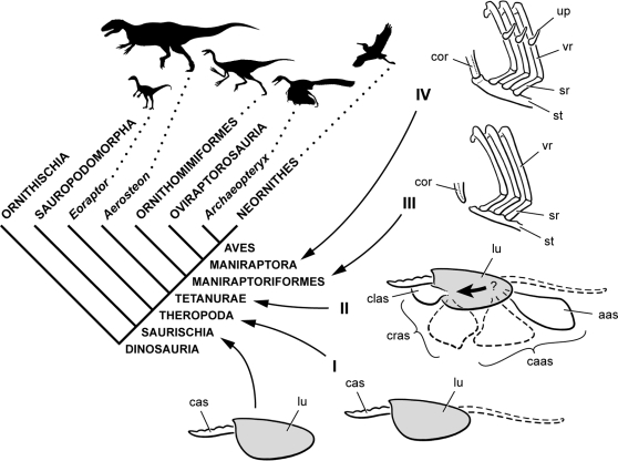 Figure 17