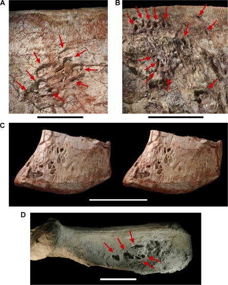 Figure 14