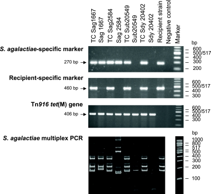 FIG. 3.