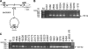 FIG. 2.