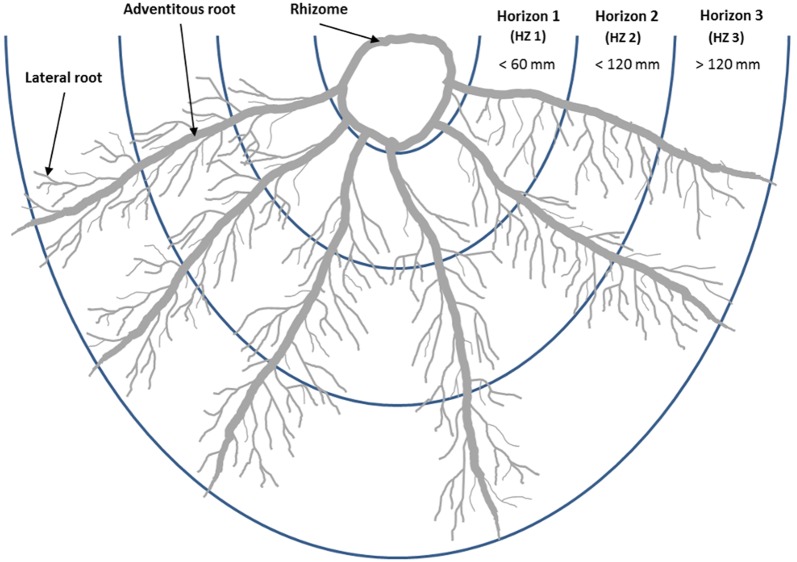 Fig. 1