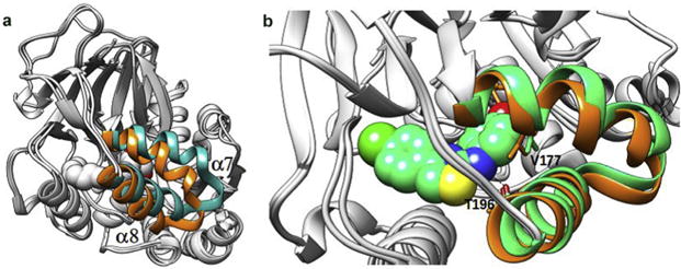 Fig. 6