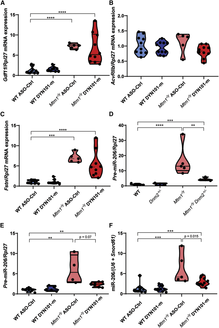 Figure 4