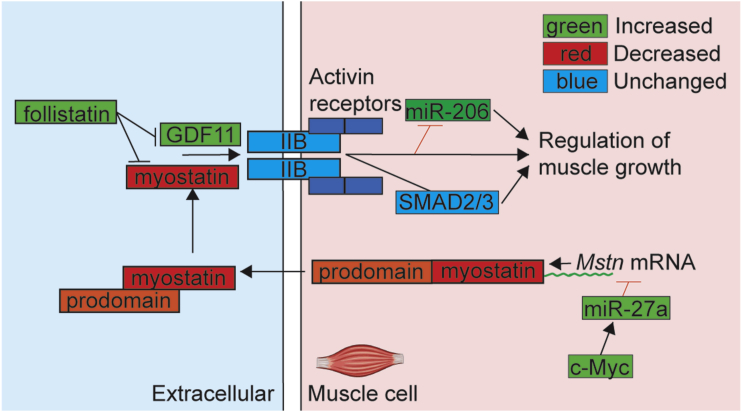 Figure 5