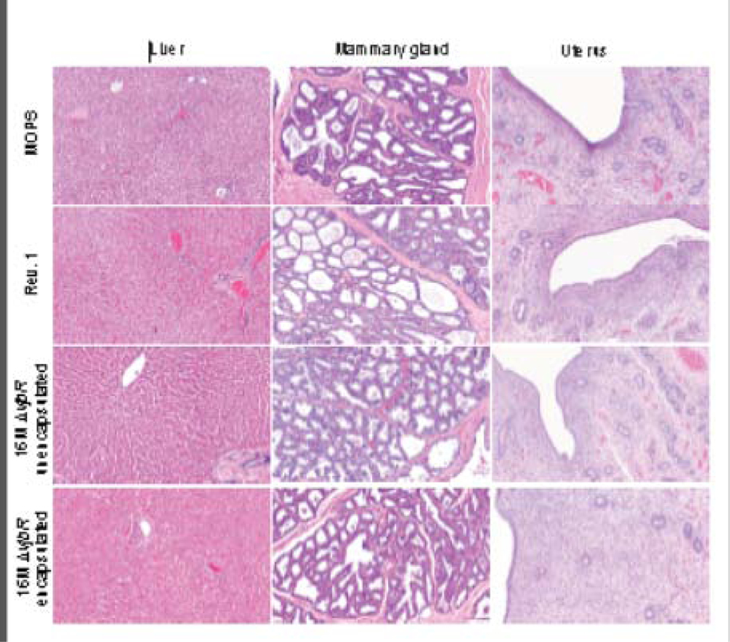 Figure 2 .