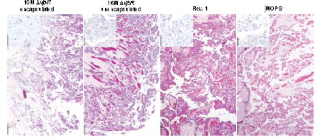 Figure 3 .