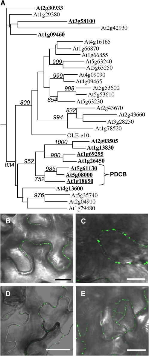 Figure 4.