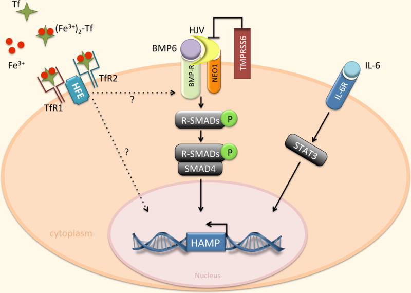 Fig 10.2