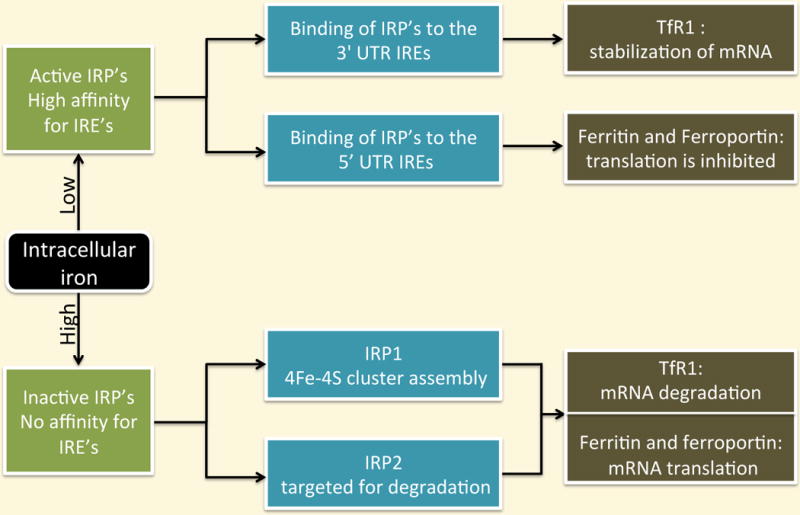 Fig 10.4