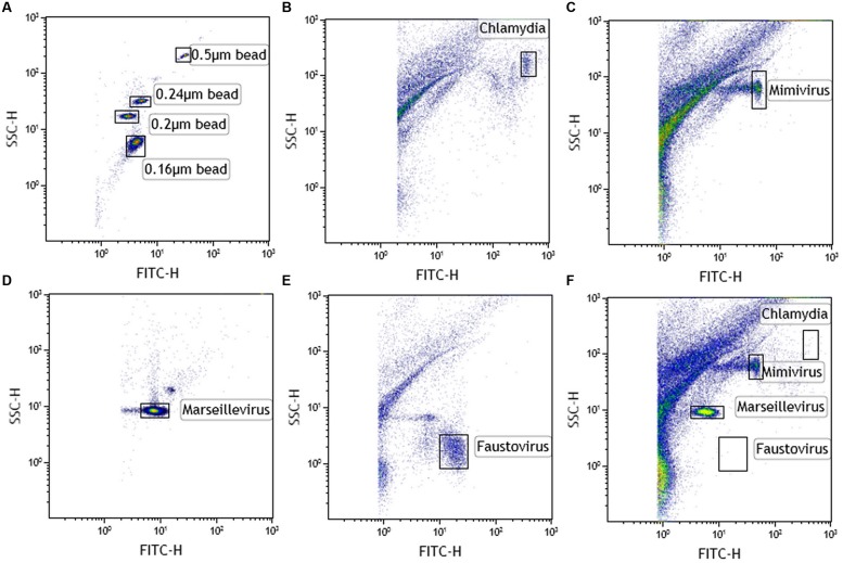 FIGURE 2