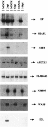 FIG.3.