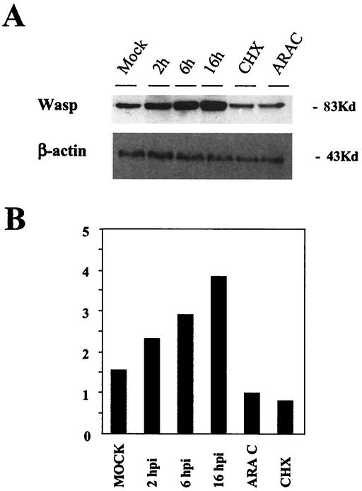 FIG. 5.