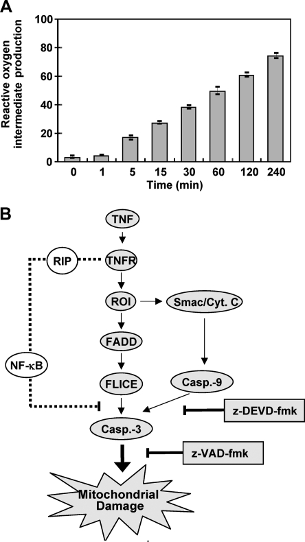 FIG. 7.