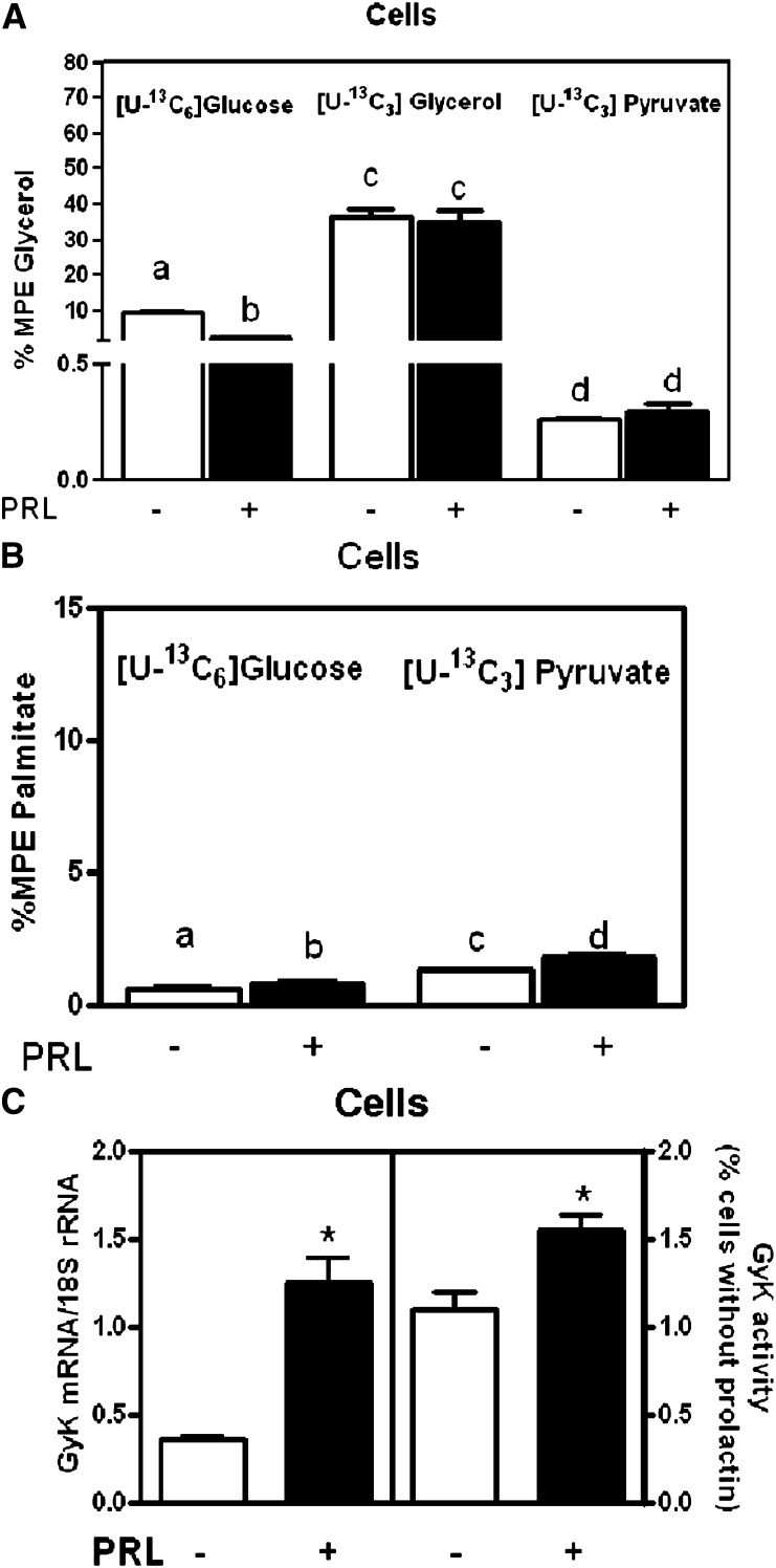 Fig. 8.