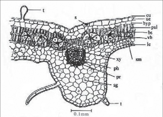 Figure 8