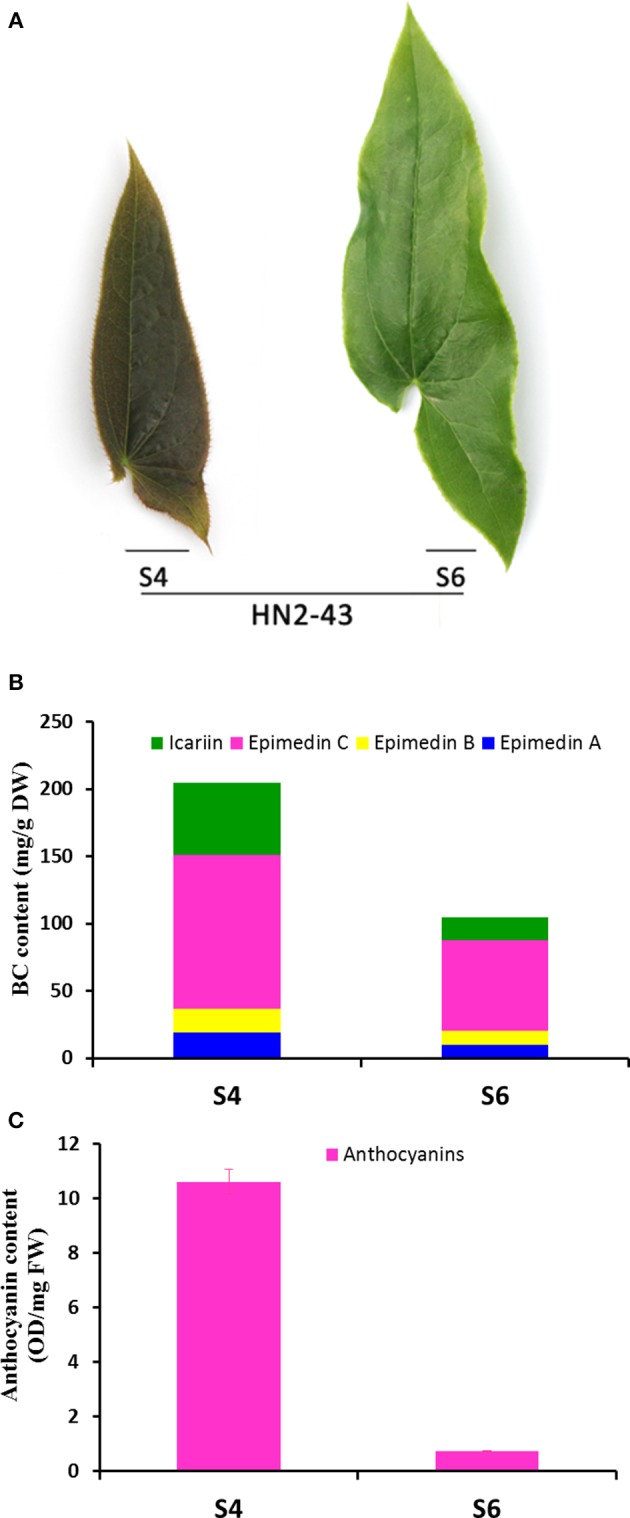 Figure 5