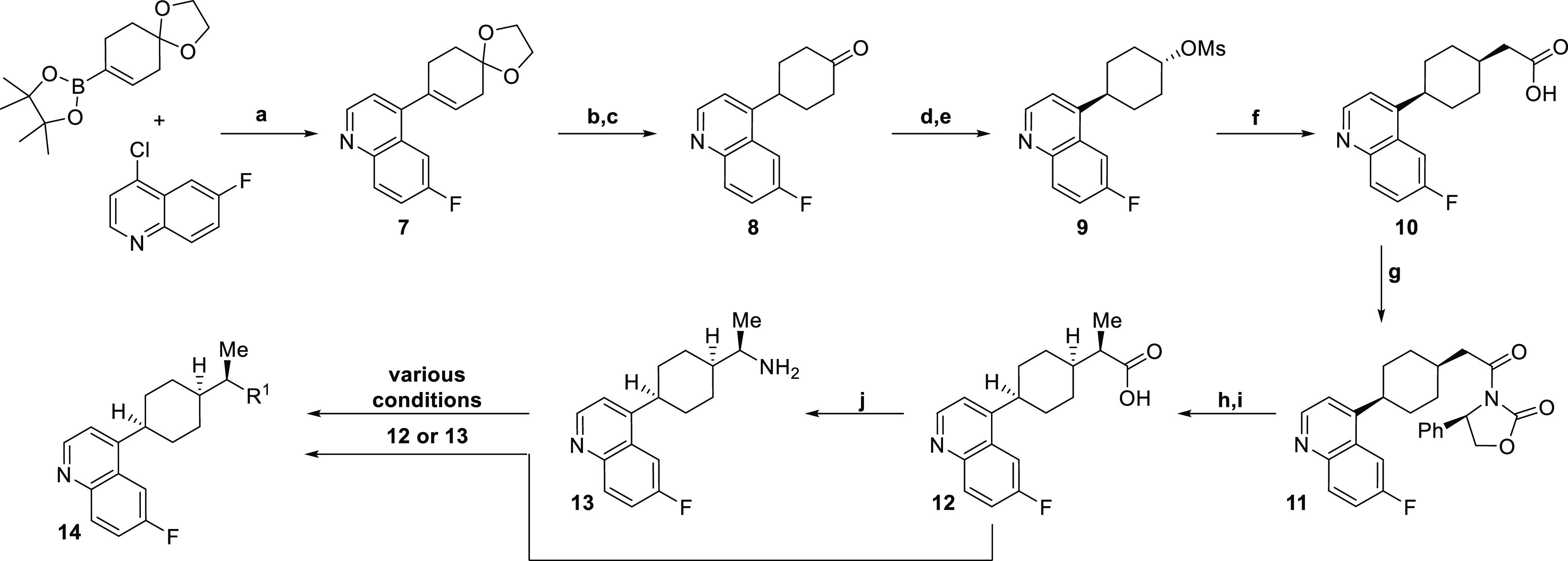 Scheme 1