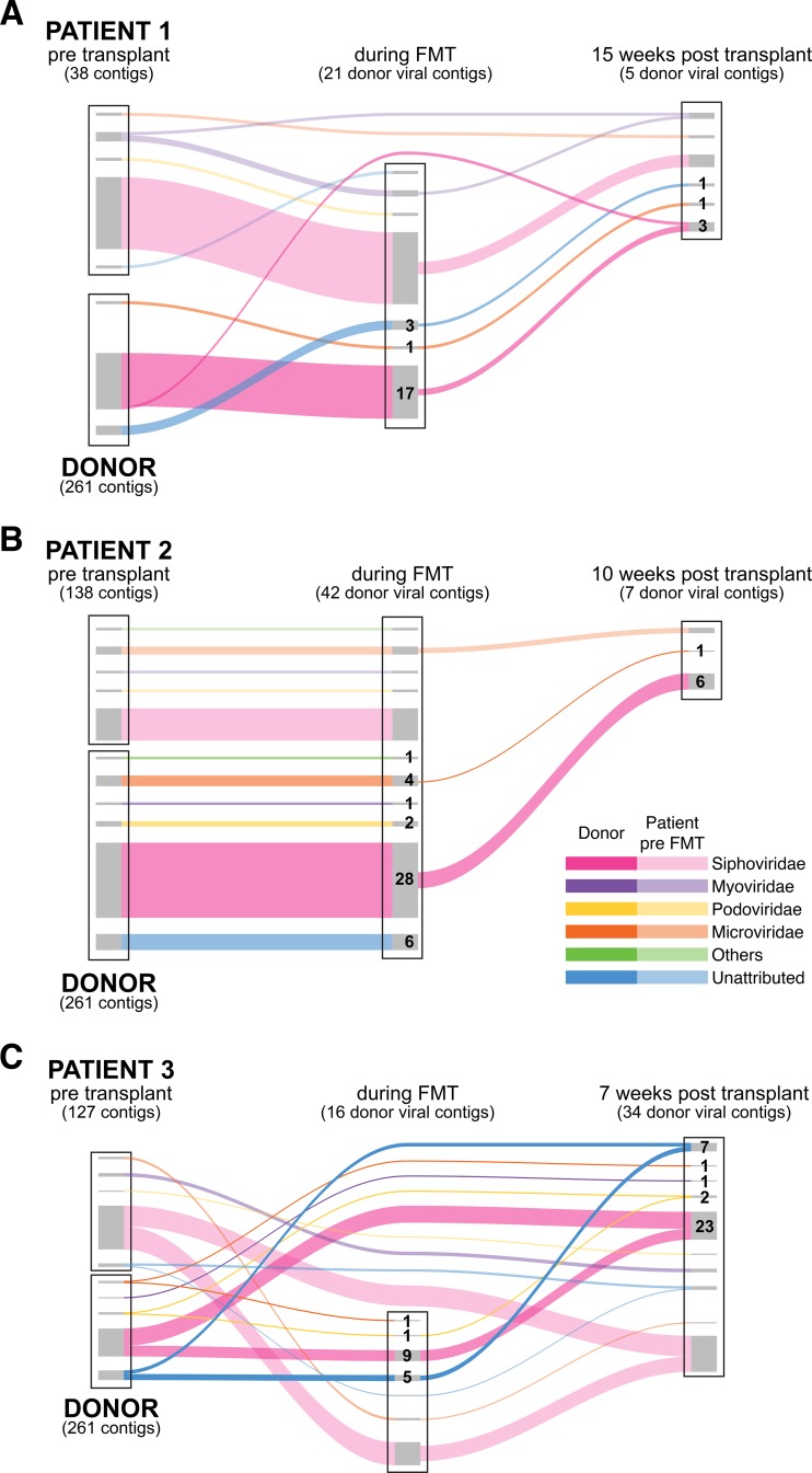 FIG 2 