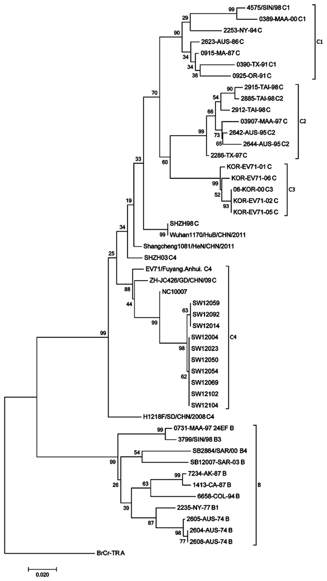 Figure 6