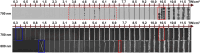 Figure 6:
