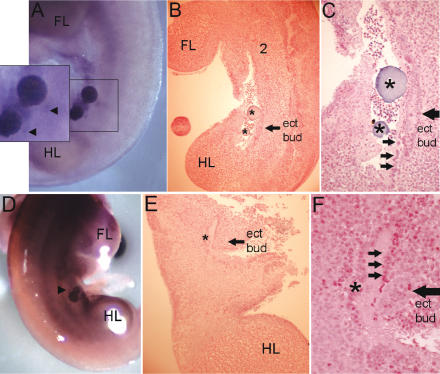 Figure 10.