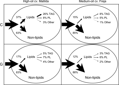 Fig. 8.