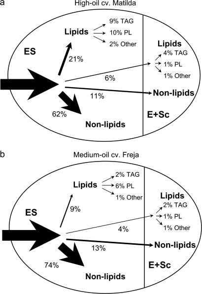 Fig. 9.