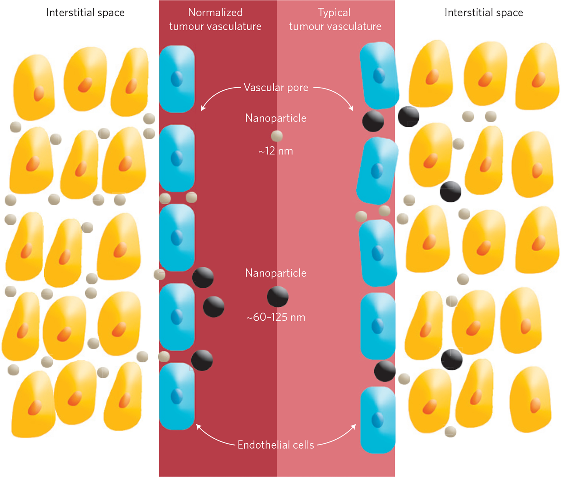 Figure 1 |