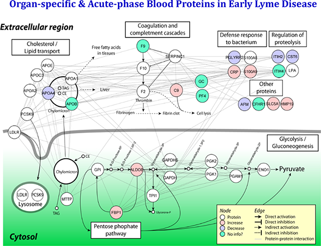 graphic file with name nihms-1673819-f0001.jpg