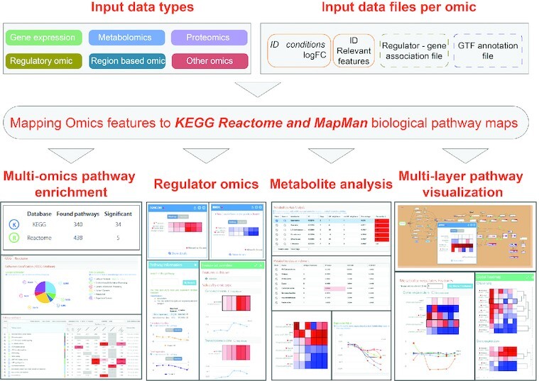 Graphical Abstract