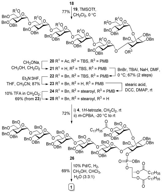 Scheme 5