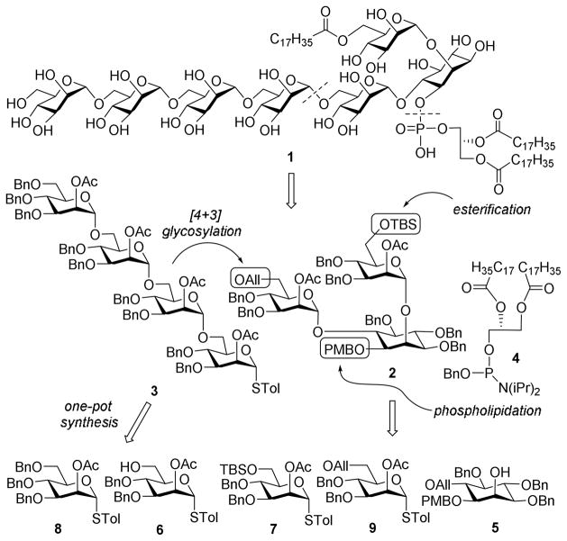 Scheme 1