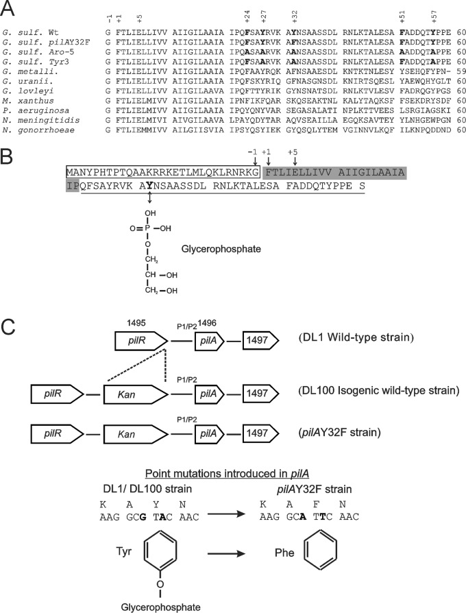 FIG 1