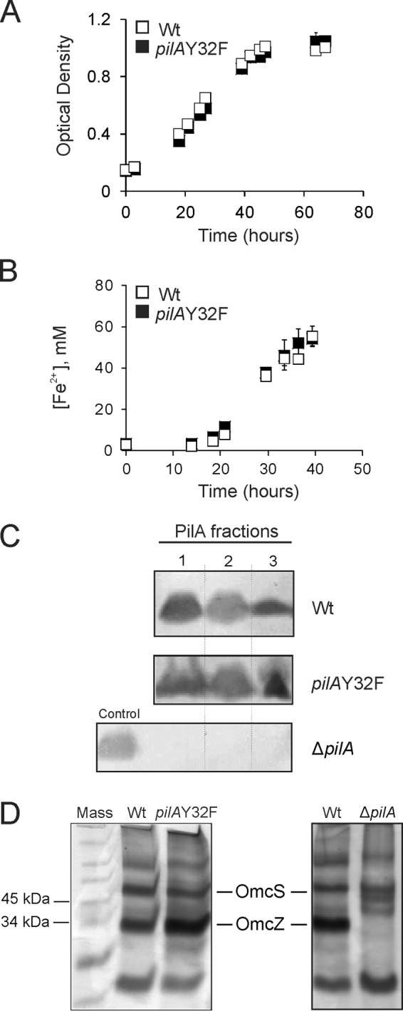 FIG 3